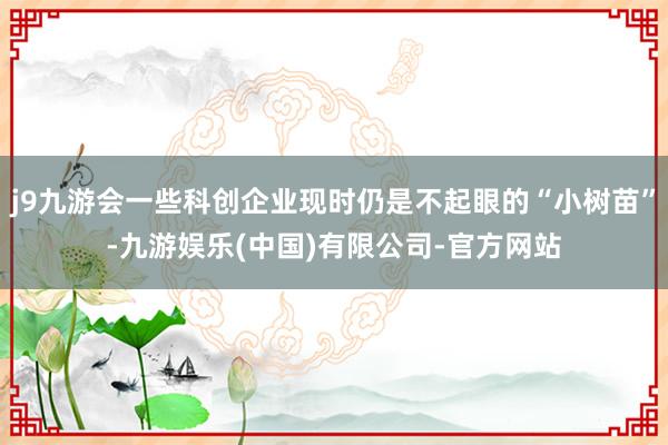 j9九游会一些科创企业现时仍是不起眼的“小树苗”-九游娱乐(中国)有限公司-官方网站