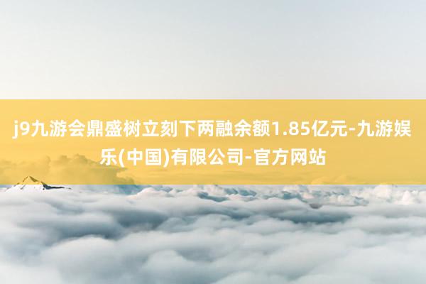 j9九游会鼎盛树立刻下两融余额1.85亿元-九游娱乐(中国)有限公司-官方网站